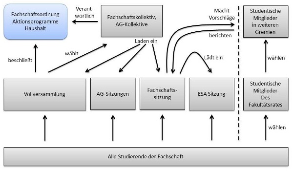 Organigramm der Fachschaft