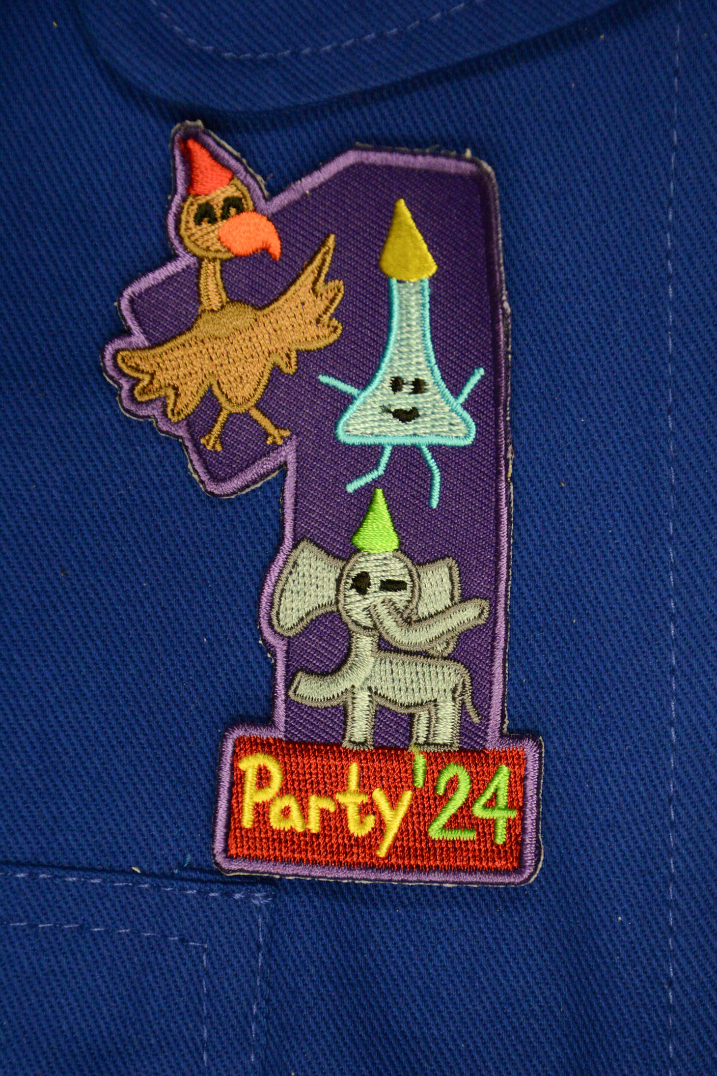 Party 2024
